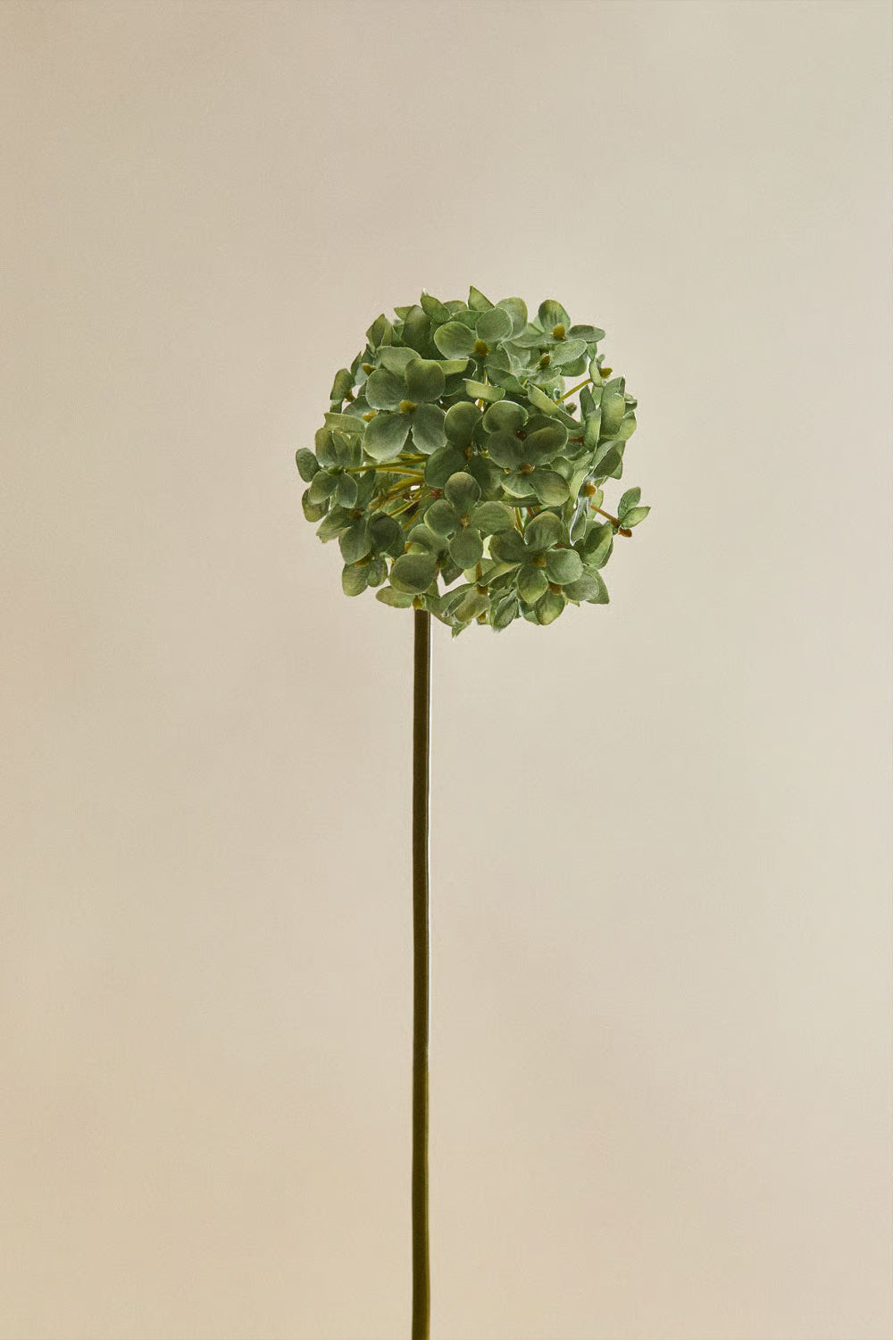 Gruffina